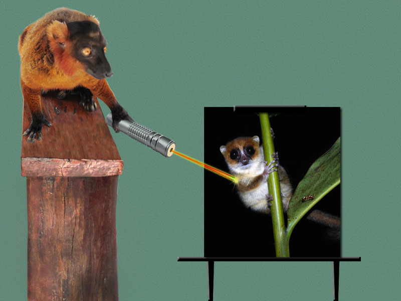 slideshow